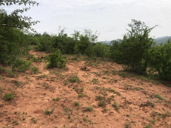 Lukenya Residential plots for sale