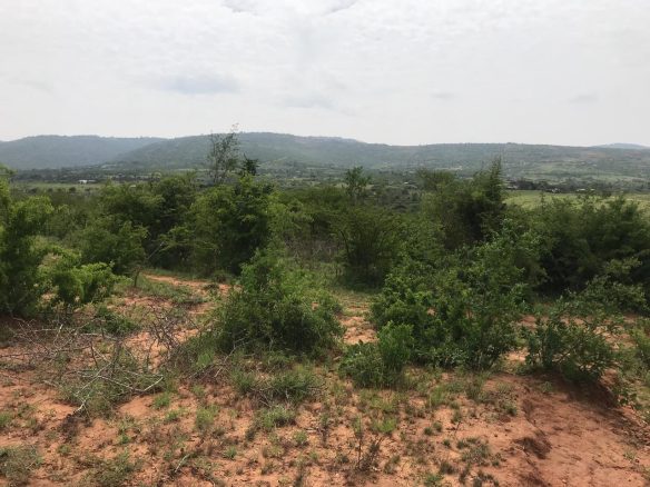land for sale in lukenya