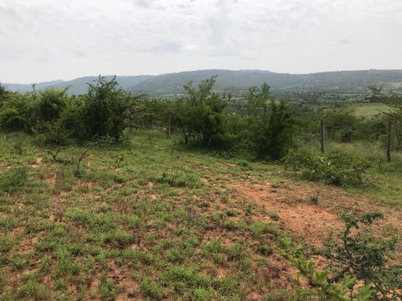 Lukenya Residential plots for sale