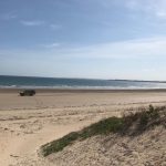 4.5 acres beachfront for sale in Ngomeni
