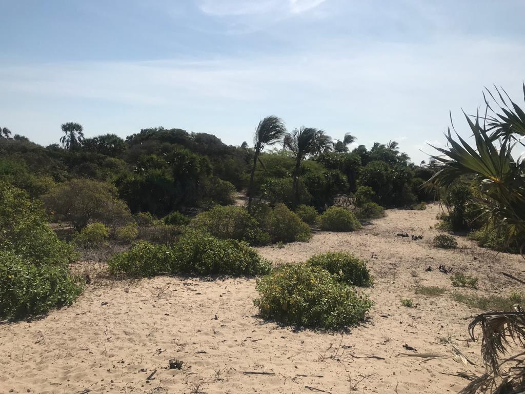 4.5 acres beachfront for sale in Ngomeni