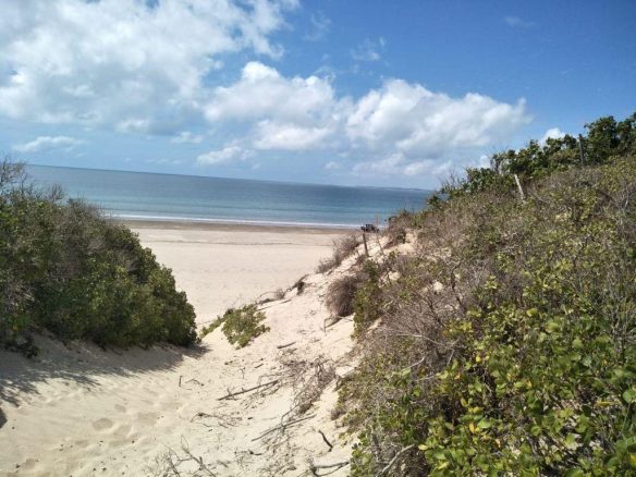 4.5 acres beachfront for sale in Ngomeni