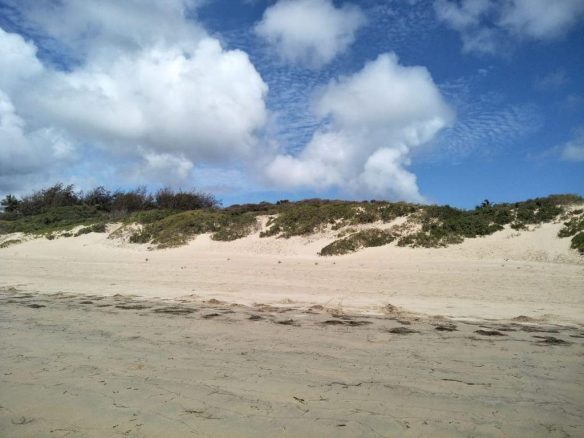 4.5 acres beachfront for sale in Ngomeni