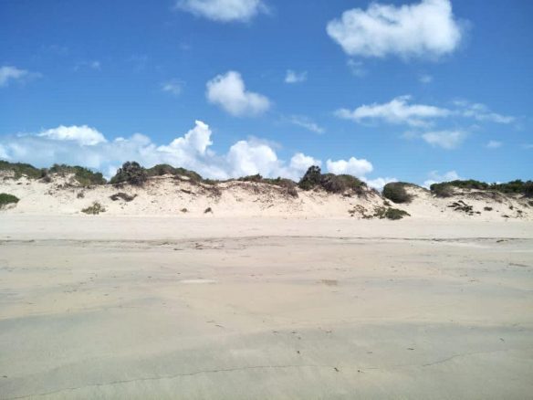 4.5 acres beachfront for sale in Ngomeni