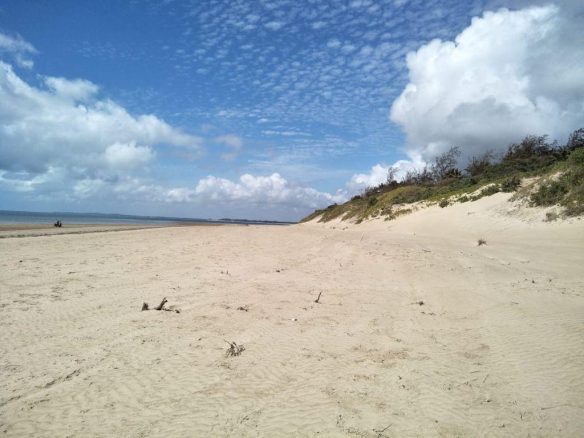 4.5 acres beachfront for sale in Ngomeni