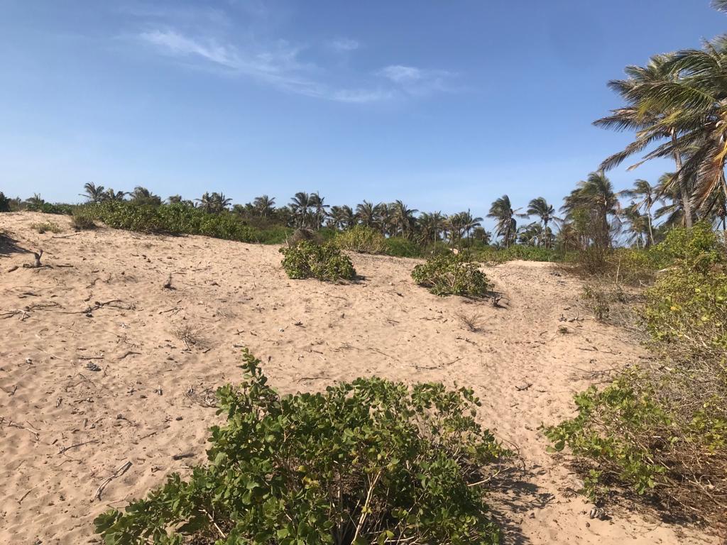4.5 acres beachfront for sale in Ngomeni