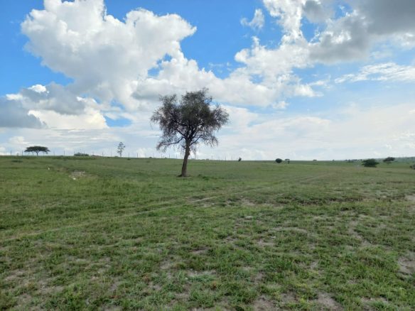 Prime residential quarter acre land for sale in Kitengela.