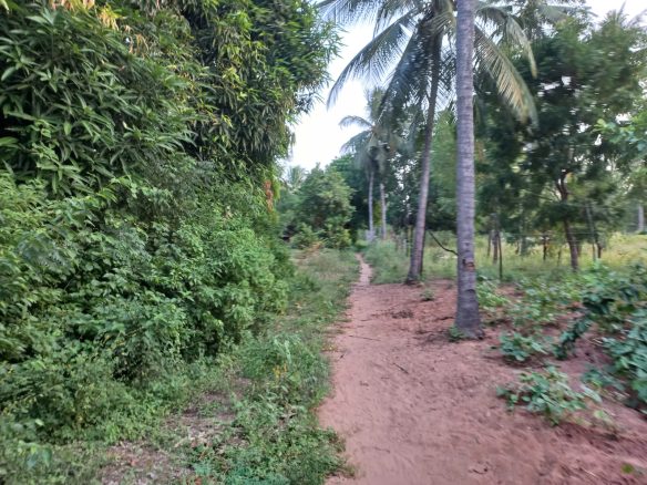 1 Acre for sale in Gede, Watamu
