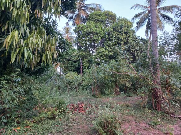 1 Acre for sale in Gede, Watamu