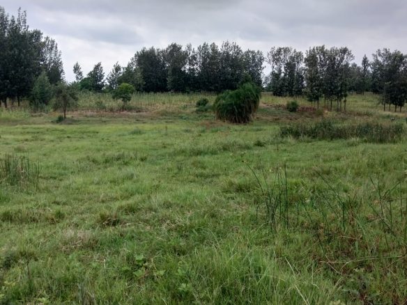 1.1 acres for sale in Kwa V , Sagana