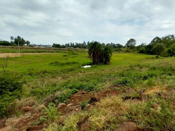 1.1 acres for sale in Kwa V , Sagana