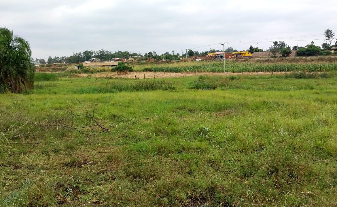 1.1 acres for sale in Kwa V , Sagana