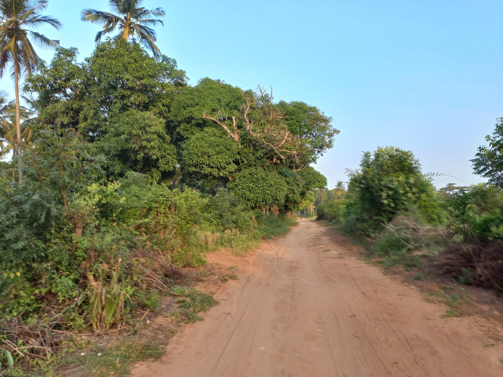 2 Acres for sale in Gede, Watamu