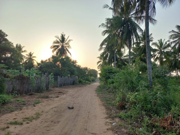 2 Acres for sale in Gede, Watamu