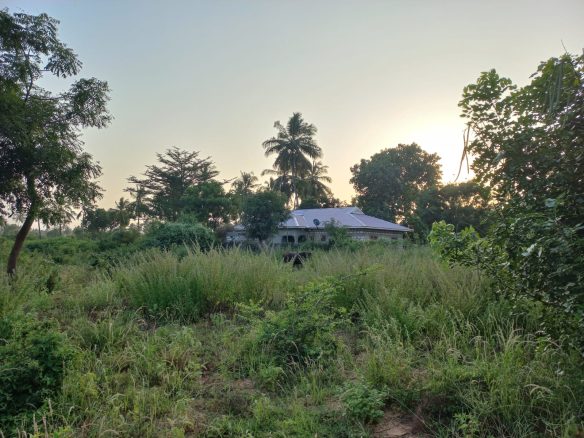 2 Acres for sale in Gede, Watamu