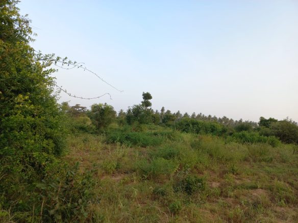 2 Acres for sale in Gede, Watamu