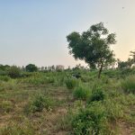 2 Acres for sale in Gede, Watamu