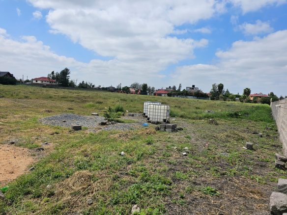 5 Acres for sale in Syokimau (3)
