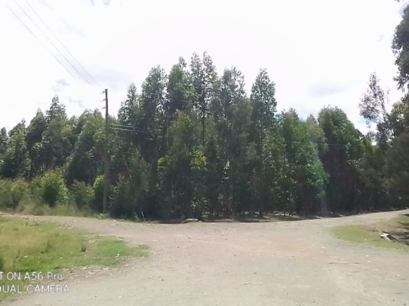 Land for sale in Olkalaou