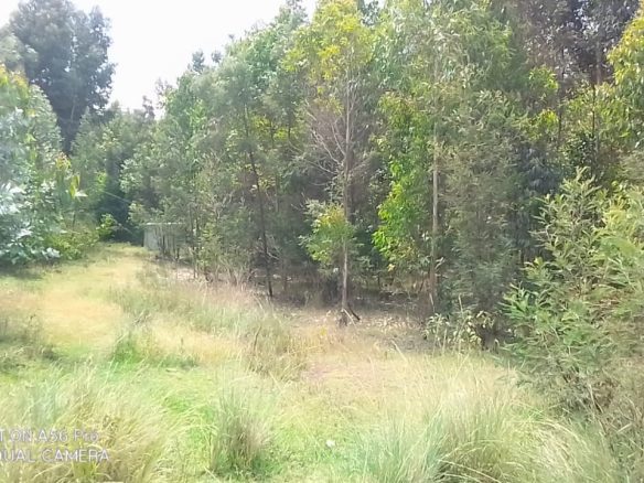 Land for sale in Olkalaou