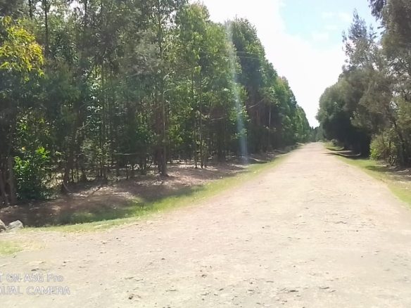 Land for sale in Olkalaou