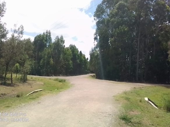 Land for sale in Olkalaou