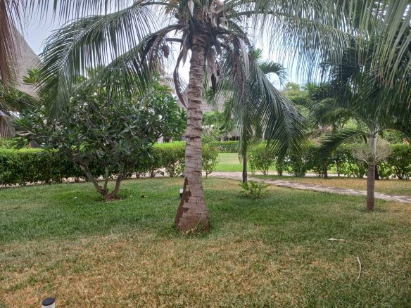 5br villa for sale in Malindi, Casuarina road