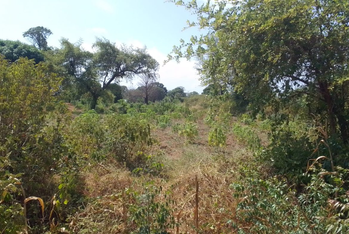 Prime 2 acres for sale in Malindi, Mtangani