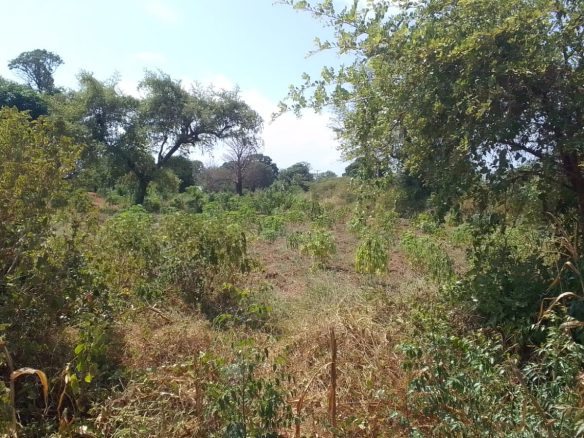 Prime 2 acres for sale in Malindi, Mtangani