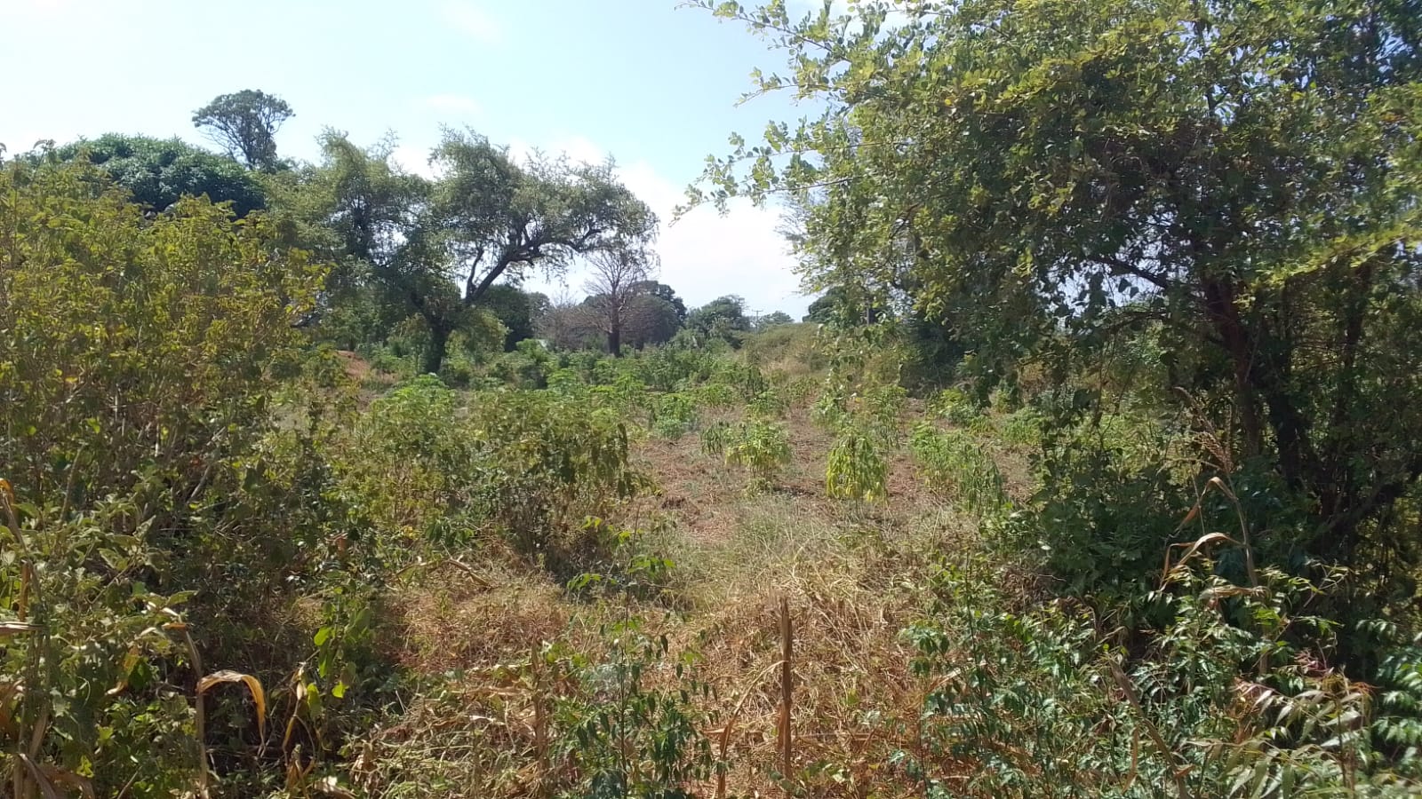 Prime 2 acres for sale in Malindi, Mtangani