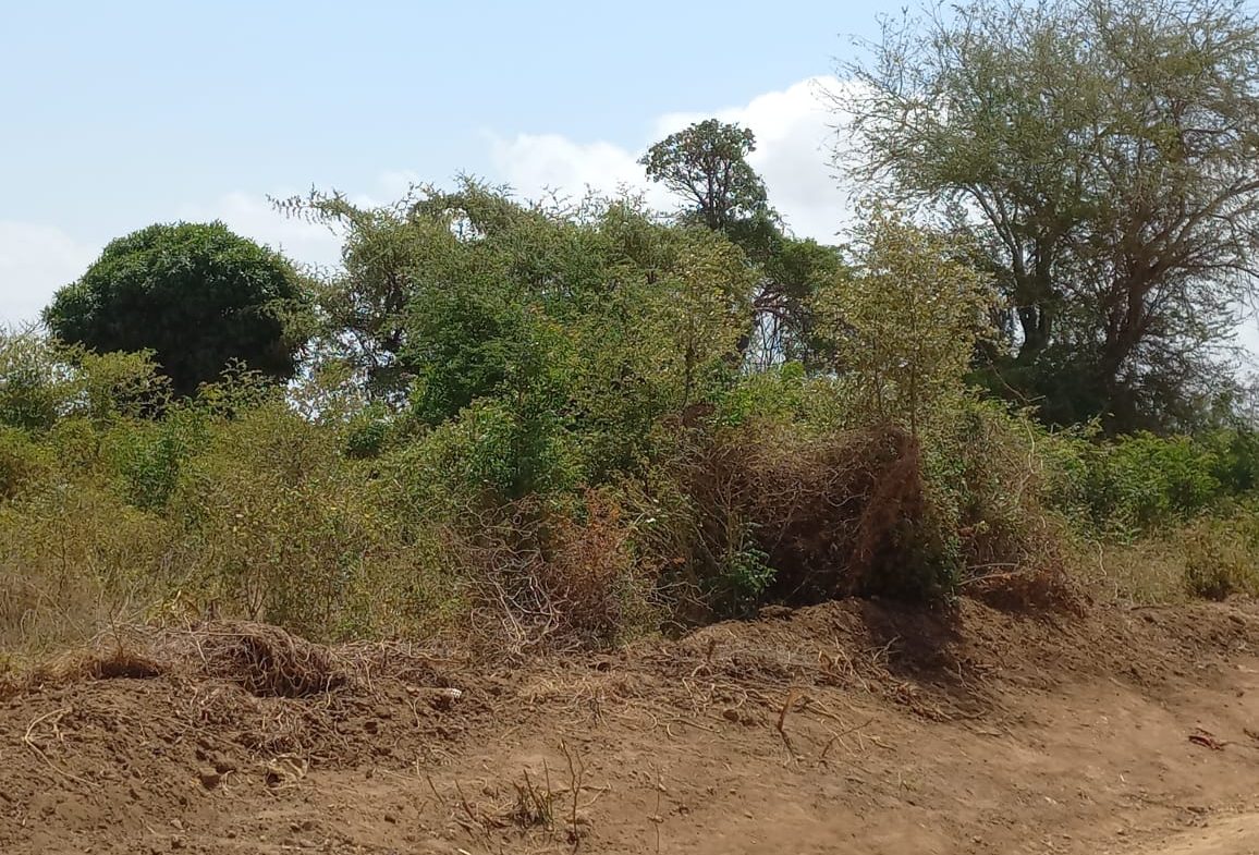 Prime 2 acres for sale in Malindi, Mtangani