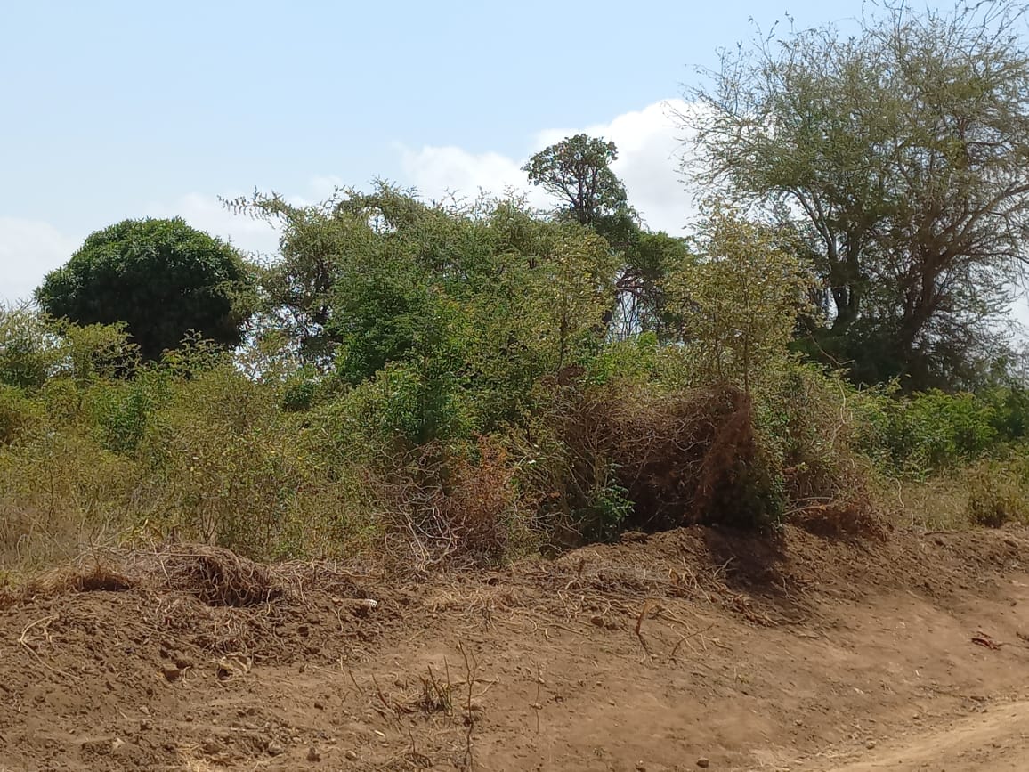 Prime 2 acres for sale in Malindi, Mtangani