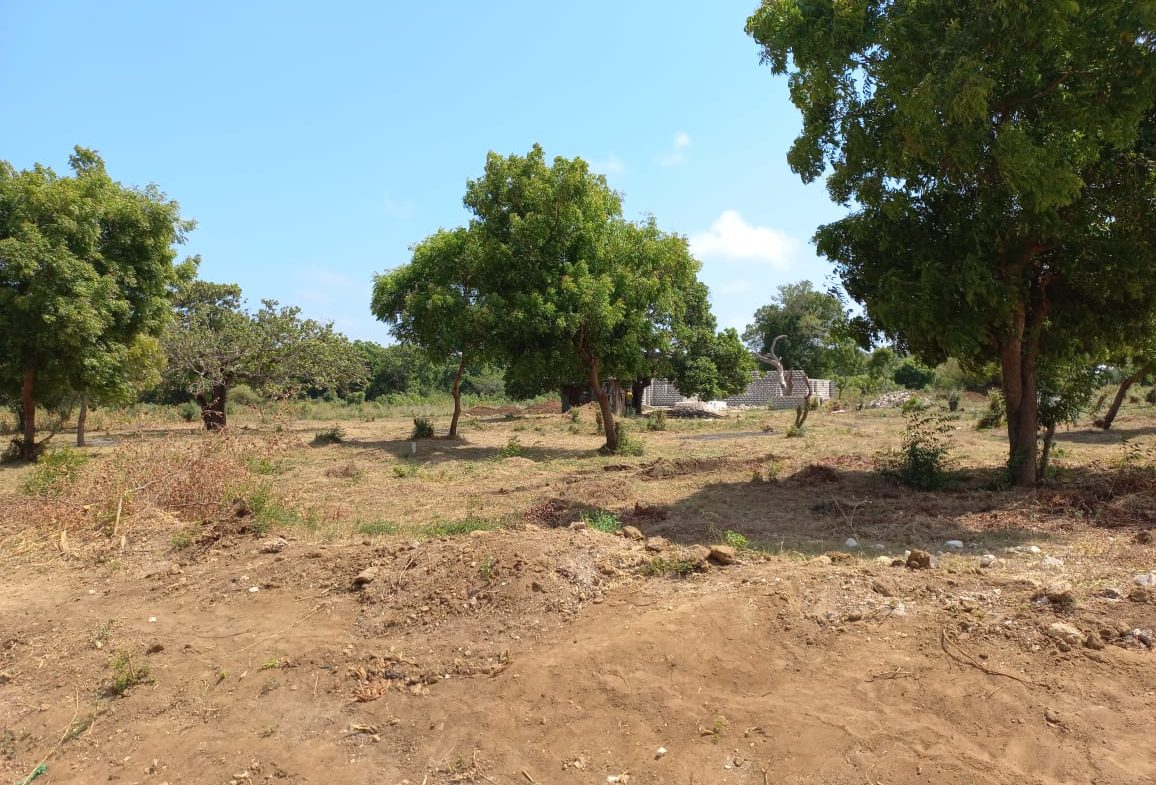 Prime 2 acres for sale in Malindi, Mtangani