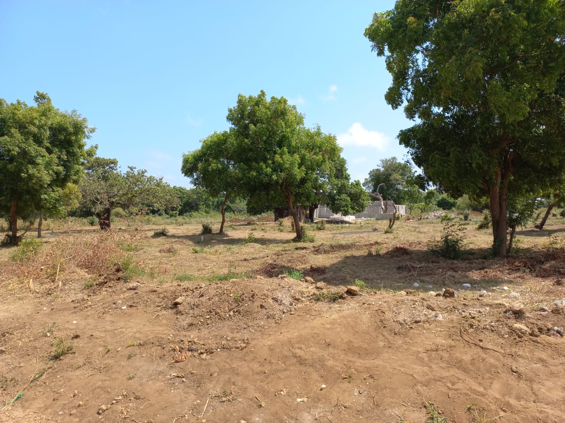 Prime 2 acres for sale in Malindi, Mtangani