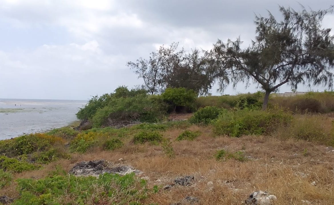 Jacaranda beach 3 acres for sale