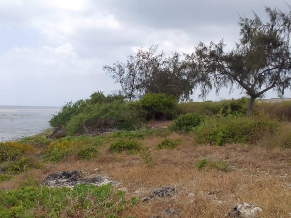 Jacaranda beach 3 acres for sale