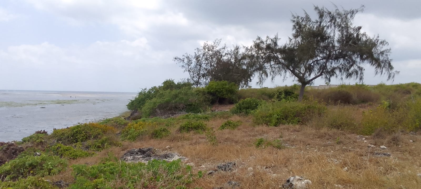 Jacaranda beach 3 acres for sale