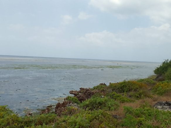 Jacaranda beach 3 acres for sale