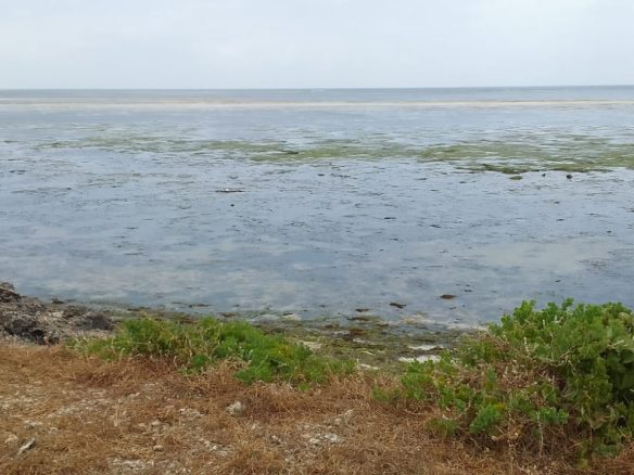 Jacaranda beach 3 acres for sale