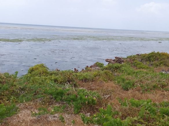 Jacaranda beach 3 acres for sale