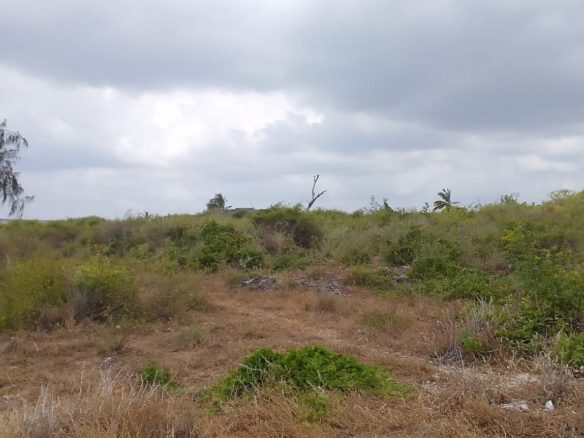 Jacaranda beach 3 acres for sale