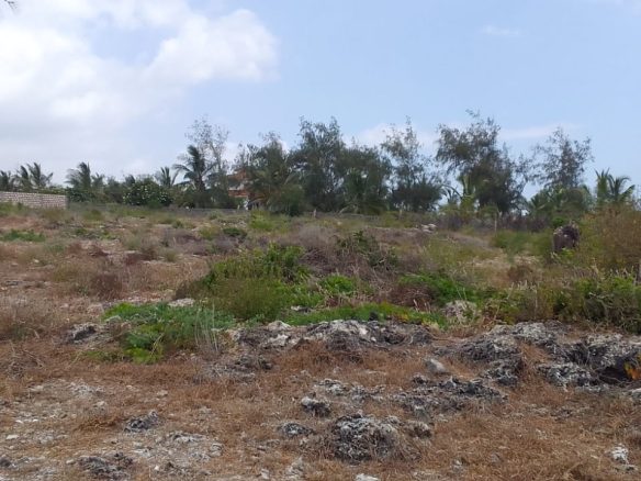 Jacaranda beach 3 acres for sale