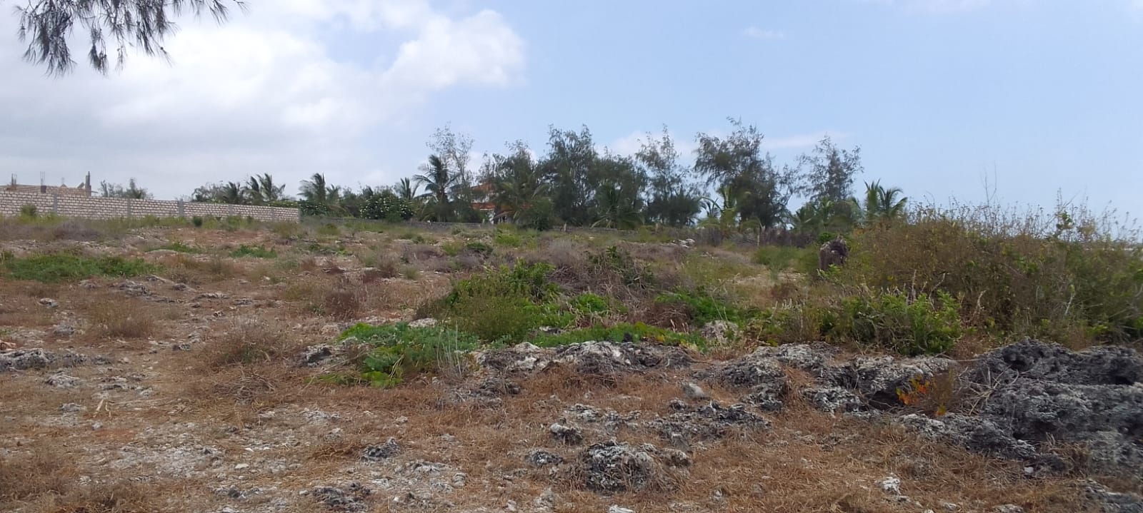 Jacaranda beach 3 acres for sale