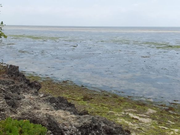 Jacaranda beach 3 acres for sale