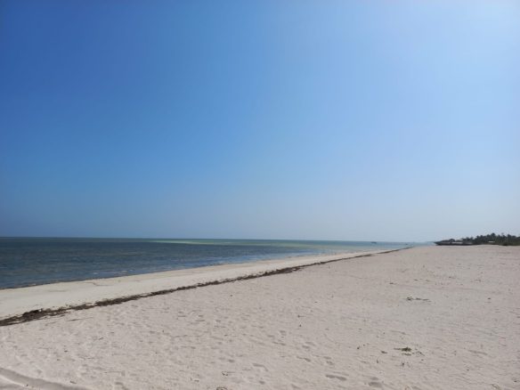 6.5 Acres Sandy Beach in Watamu for sale