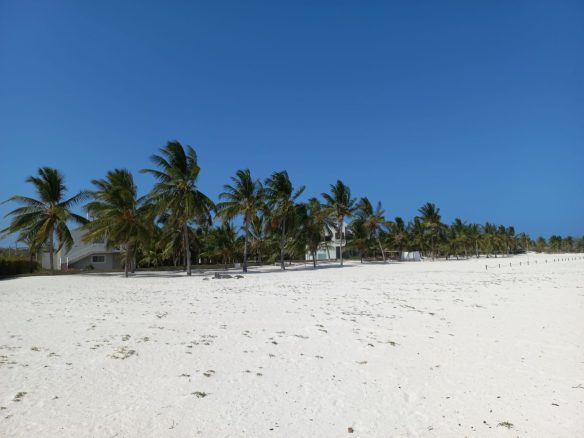 6.5 Acres Sandy Beach in Watamu for sale