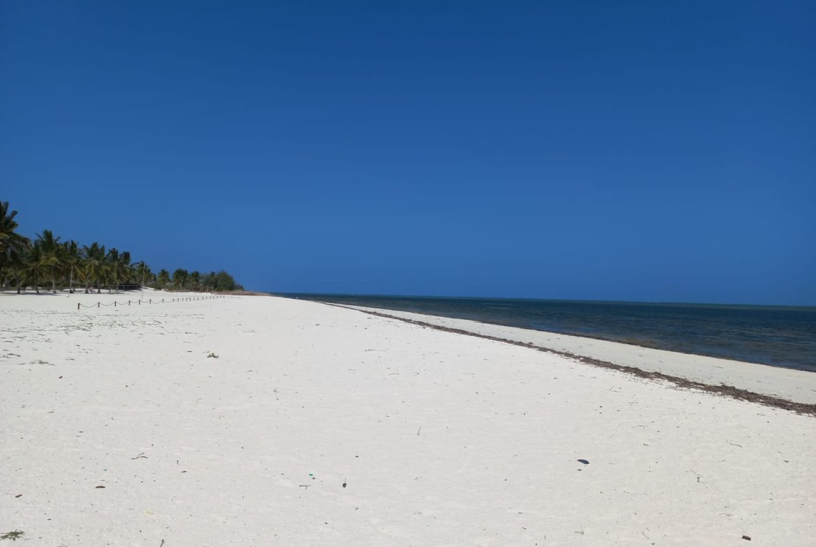 6.5 Acres Sandy Beach in Watamu for sale