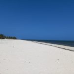 6.5 Acres Sandy Beach in Watamu for sale