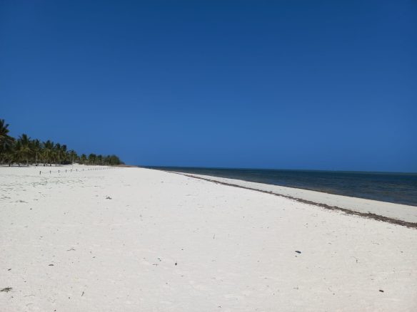 6.5 Acres Sandy Beach in Watamu for sale
