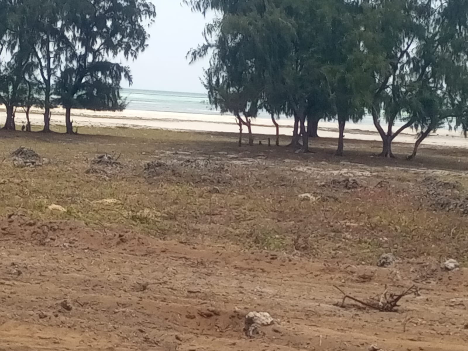 6.5 Acres Sandy Beach in Watamu for sale